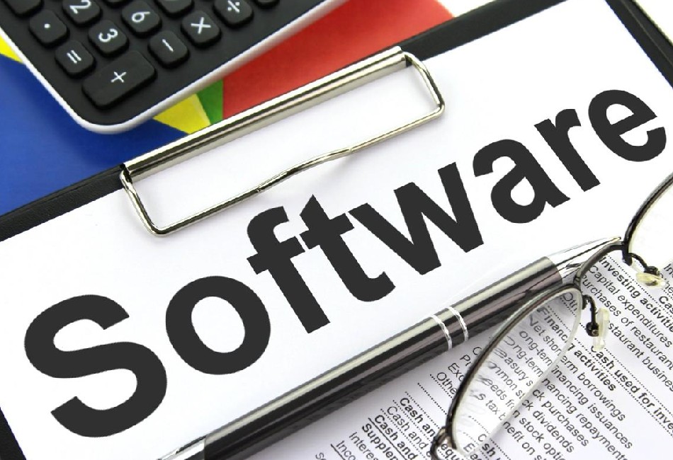 Software sector